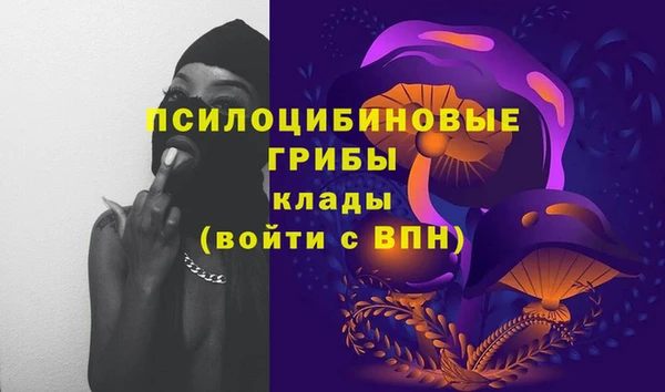 дживик Аркадак