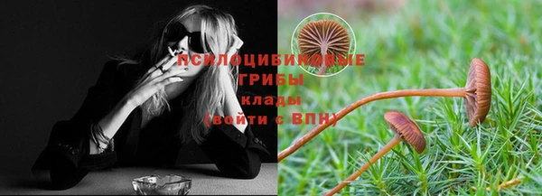 прущая мука Приозерск