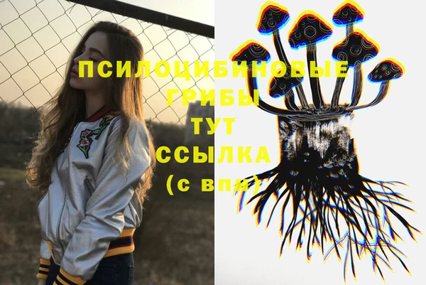 дживик Аркадак