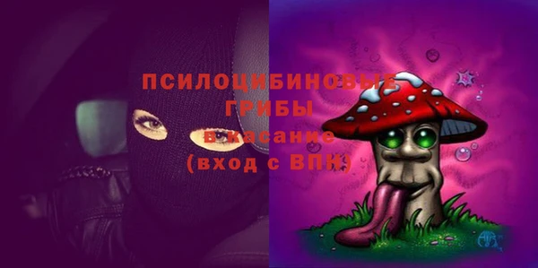 гидра Армянск