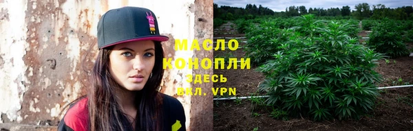 дживик Аркадак