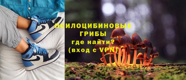 дживик Аркадак