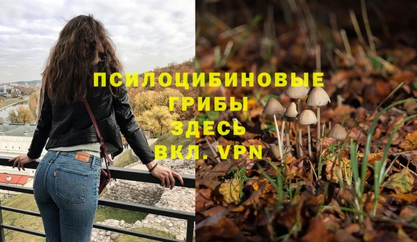 меф Протвино