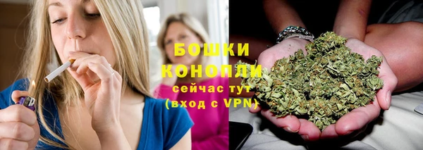 дживик Аркадак