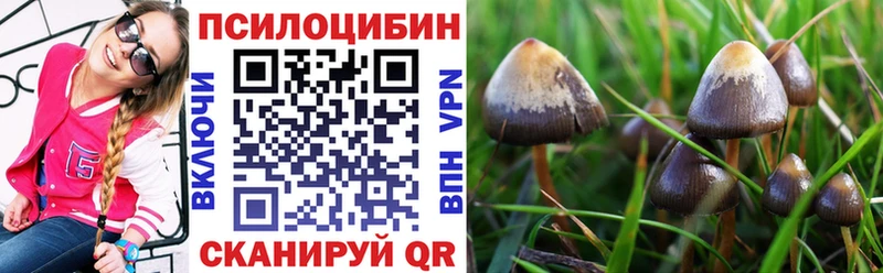Галлюциногенные грибы мицелий  Баймак 